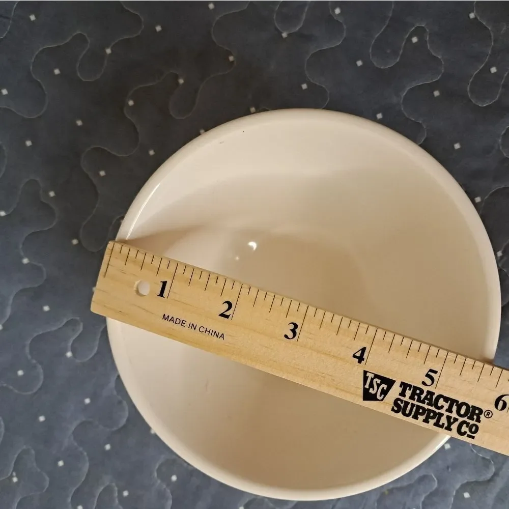 Rae Dunn SLAY bowl